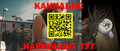 гашик Будённовск