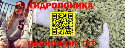 гашик Будённовск
