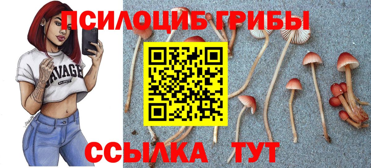 Псилоцибиновые грибы MAGIC MUSHROOMS Морозовск